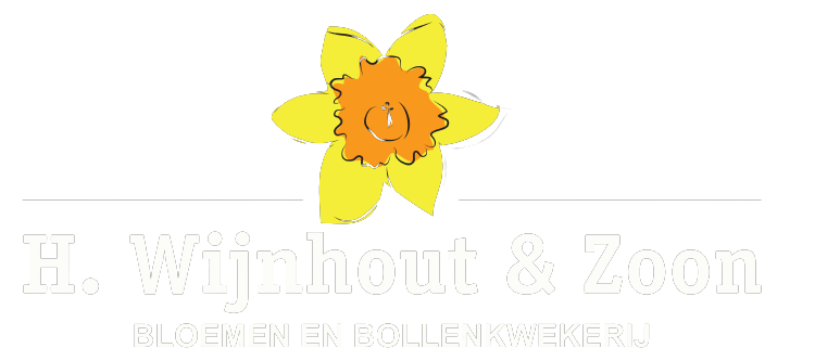 H. Wijnhout & Zoon